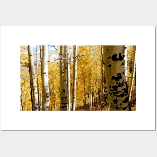 Fall in Colorado - Crested Butte Posters and Art